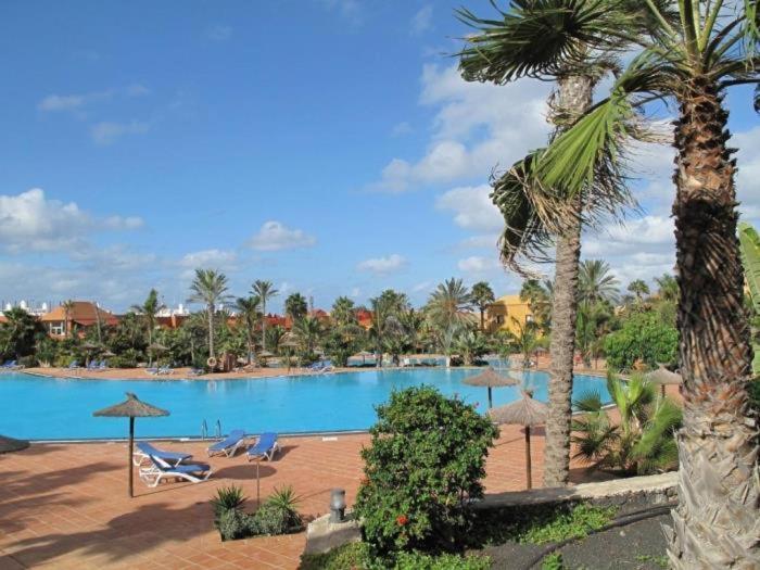 Oasis Tamarindo By Best Holidays Fuerteventura Corralejo Extérieur photo